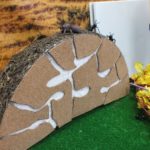 foto: Warsztaty ,,Fascynujący świat mrówek" - 49115 150x150