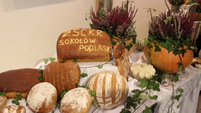 Uczestnicy i goście obchodów Tygodnia Dobrego Chleba