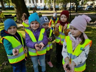 przedszkolaki w kamizelkach odblaskowych zbierają dary jesieni w parku