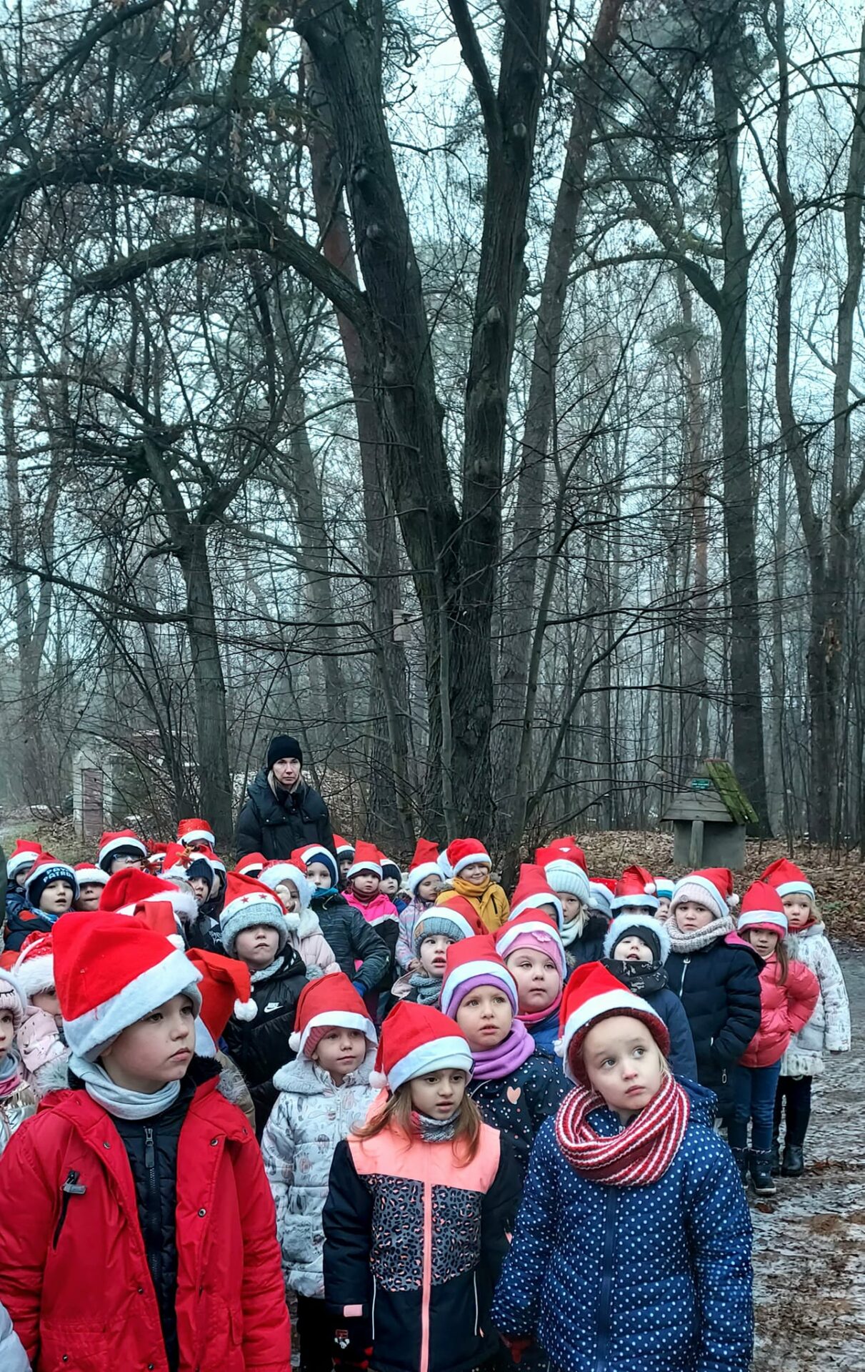 foto: <strong>Leśne Mikołajki dzieci z Leśnej Krainy</strong> - 318841443 1338887596931434 7583031849775579220 n 1211x1920