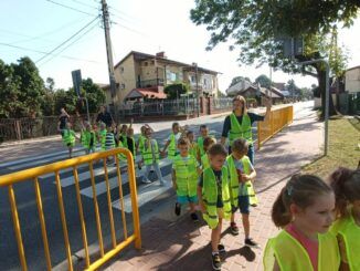 Przedszkolaki w żółtych kamizelkach przechodzą przez przejście dla pieszych.