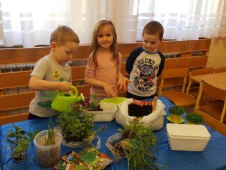 troje przedszkolaków sadzących rośliny