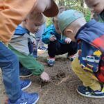 foto: Lekcja przyrody w lesie dla dzieci z MP2 - 4 12 150x150