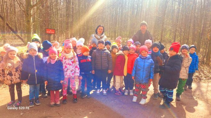 grupowe zdjęcie przedszkolaków w lesie, w słoneczny dzień