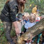 foto: Lekcja przyrody w lesie dla dzieci z MP2 - 7 13 150x150