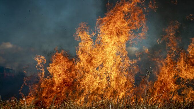 Płonąca łąka - zdjęcie ilustracyjne