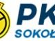 logo pks sokołów podlaski
