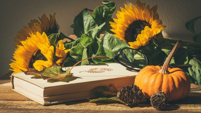 jesień, dynia, słoneczniki - zdjęcie ilustracyjne