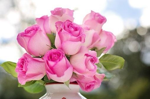 foto: Róże w wazonie - unnamed